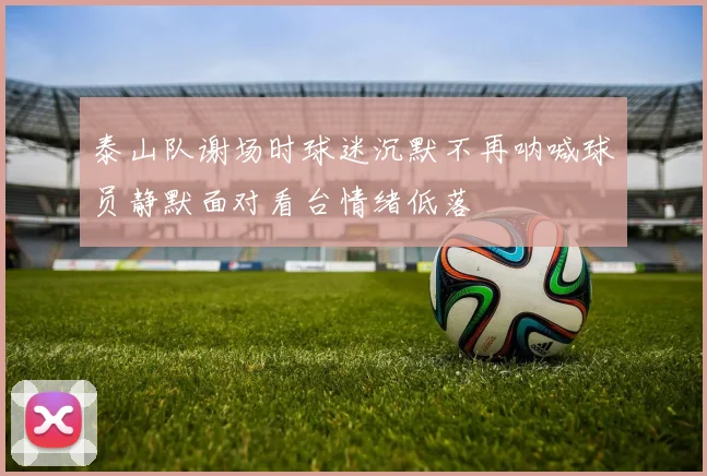 泰山队谢场时球迷沉默不再呐喊球员静默面对看台情绪低落